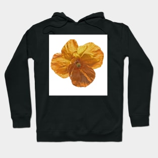 Poppy flower head. Hoodie